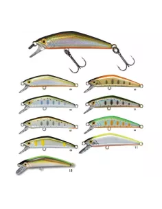 Product Categories - Carnassiers Shop 2
