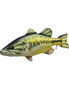 Product Categories - Carnassiers Shop
