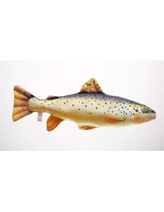 Product Categories - Carnassiers Shop