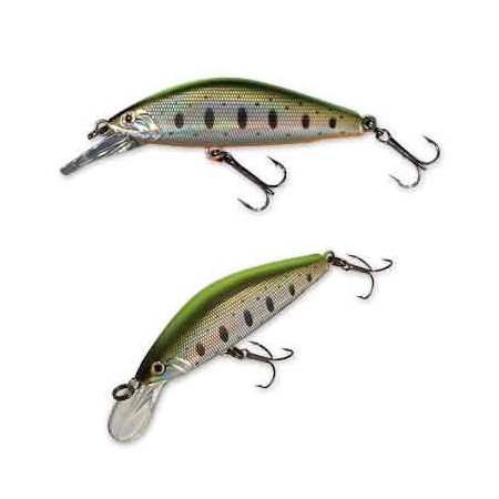 Leurre coulant D Concept 48 MD SMITH