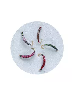 Product Categories - Carnassiers Shop