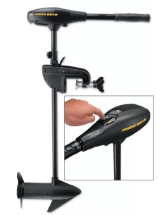 Product Categories - Carnassiers Shop