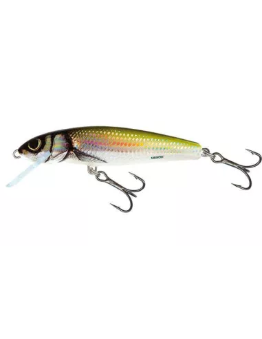 Sinking Minnow Lure 7cm SALMO - Salmo