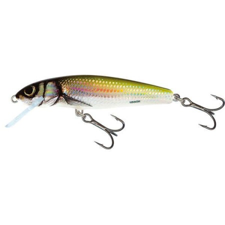 Leurre coulant Minnow 7cm SALMO