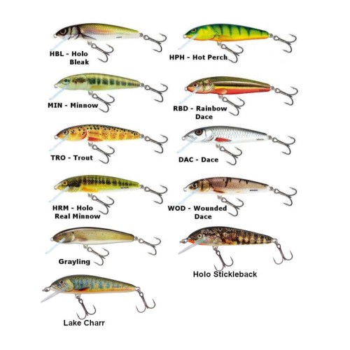 Leurre flottant Minnow 5cm SALMO