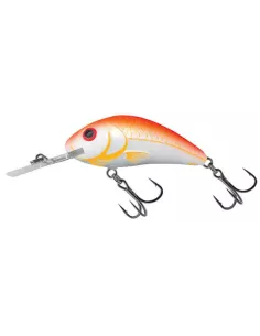 Product Categories - Carnassiers Shop