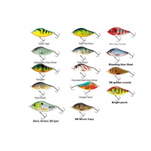 Leurre coulant Slider 10cm SALMO 2