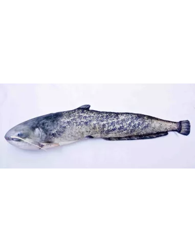 Catfish Cushion 115cm Gaby - Gaby
