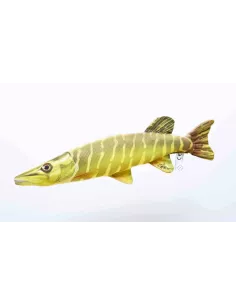 Product Categories - Carnassiers Shop