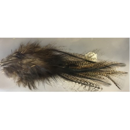 Pardo Flor de Escobar Pelle d'èpaule grade 1 JMC