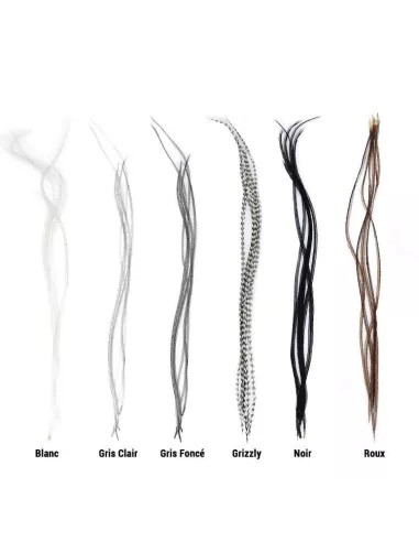 Lancetten Top-Qualität JMC - JMC