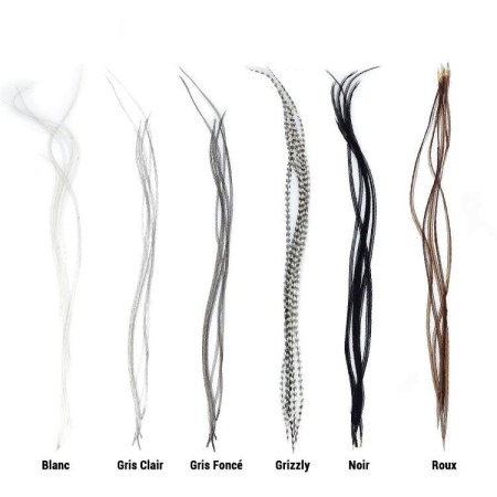 Lancette Top Grade JMC