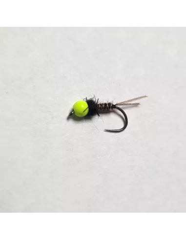 Ninfa Tungsteno kb 7 - Carnassiers-Shop