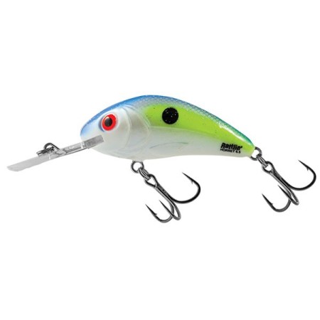 Leurre flottant Rattlin' Hornet 5.5cm SALMO