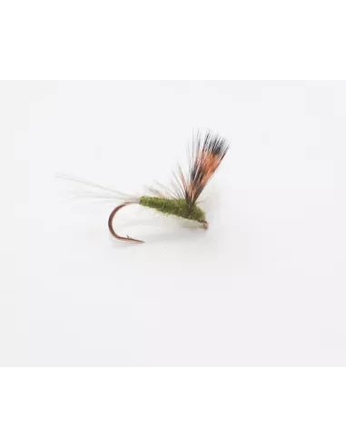 Trockenfliege Compara Dun Olive cs18 - Carnassiers-Shop