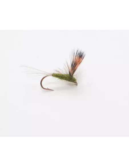 Trockenfliege Compara Dun Olive cs18 - Carnassiers-Shop
