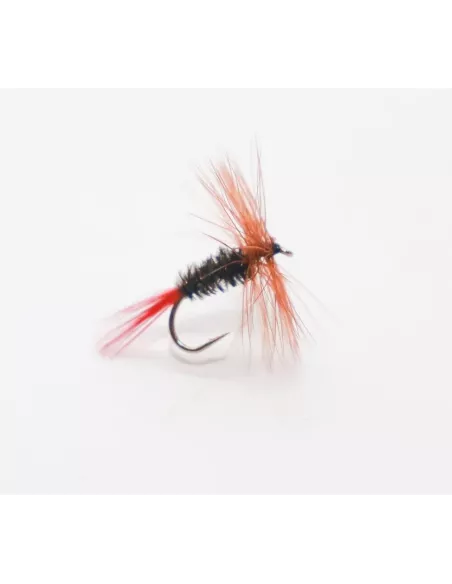 Mosca secca Brown Hackles Peacock cs16 - Carnassiers-Shop