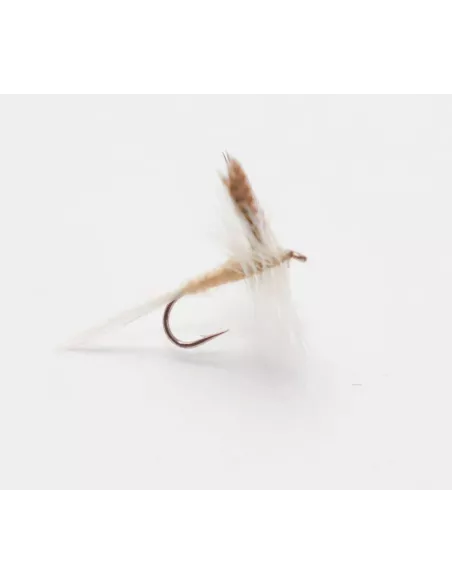 Mosca secca Light Cahill cs21 - Carnassiers-Shop