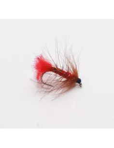 Product Categories - Carnassiers Shop