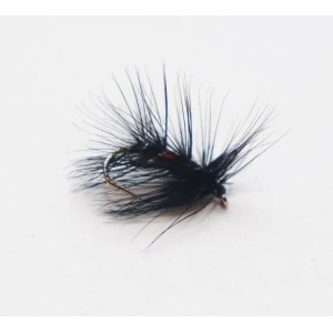 Mouche noyée Bibio cs1