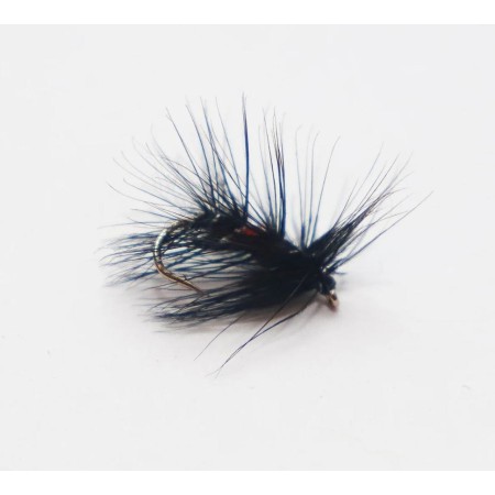 Mouche noyée Bibio cs1