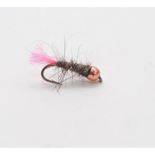 Nymphe Wolfram Goddard Knauf cs40 - Carnassiers-Shop