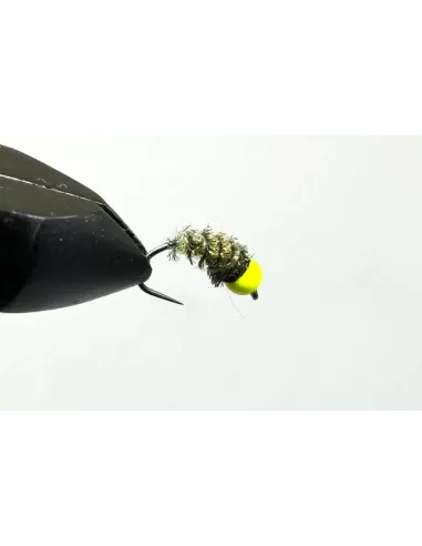 Nymphe Wolfram NW 1 - Carnassiers-Shop