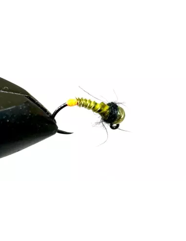 Nymphe Wolfram NW 7 - Carnassiers-Shop