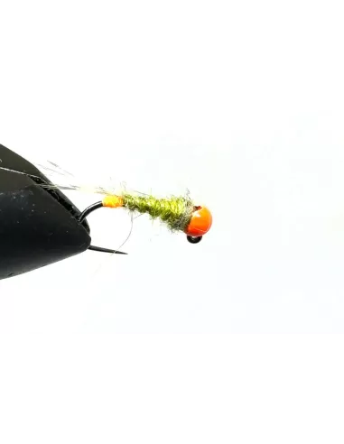 Nymphe Wolfram NW 8 - Carnassiers-Shop