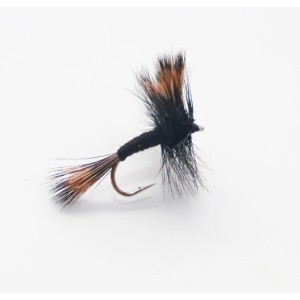 Mouche sèche Black Wulff cs15