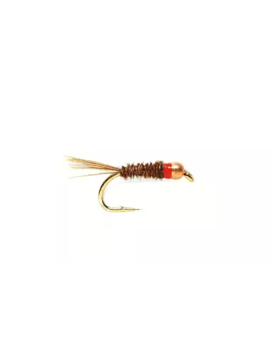 Ninfa Tungsteno Collo Rosso cs55 - Carnassiers-Shop