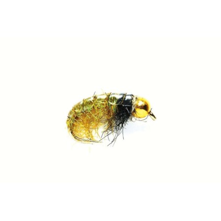 Nymphe Tungsten Glister Shrimp cs39