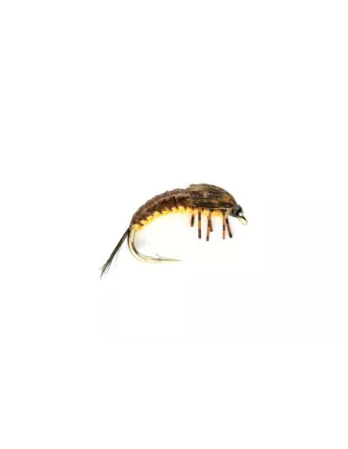 Ninfa pesca polacca Marrone cs31 - Carnassiers-Shop
