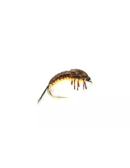 Ninfa pesca polacca Marrone cs31 - Carnassiers-Shop