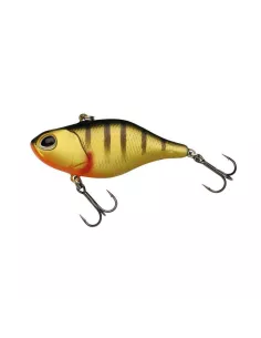 Product Categories - Carnassiers Shop