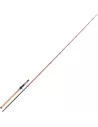 Canne da casting Injection BC 73 H Pike Special TENRYU - Tenryu