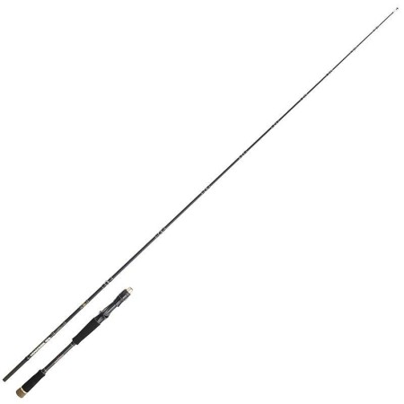 Canne Casting Ionizer G2 Power Game 28-200gr Sakura