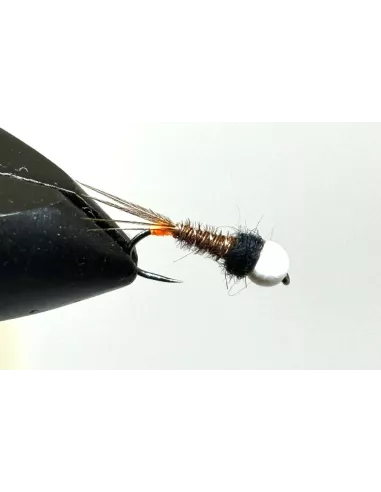 Nymphe Wolfram NW 12 - Carnassiers-Shop