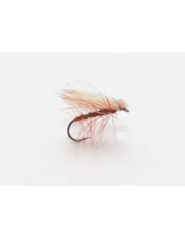 Elk Wing Caddis Trockenfliege cs77 - Carnassiers-Shop