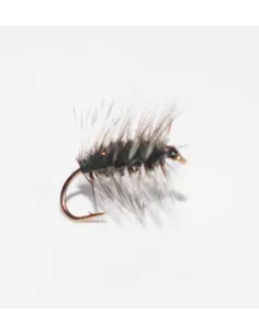 Product Categories - Carnassiers Shop