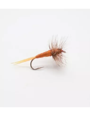 Mosca secca Stonefly cs82 - Carnassiers-Shop