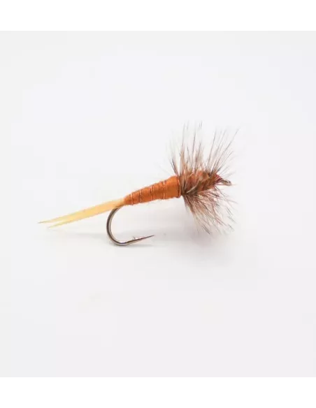 Mosca secca Stonefly cs82 - Carnassiers-Shop