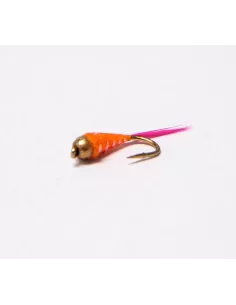 Product Categories - Carnassiers Shop