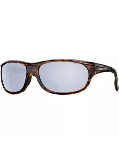 Glasses - Carnassiers Shop