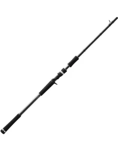 Canne casting Fate Black 40-130gr 2m59 13 Fishing