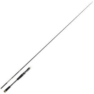 Canne Casting Ionizer G2 Allround 10-50gr 2m16 Sakura