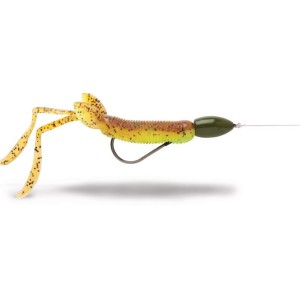 Ami Texas - Carnassiers Shop 2