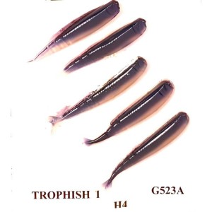 Gambe Perche Trophyfish 1 Eltec Fishing