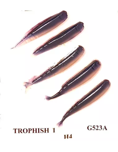 Legs Why Trophyfish 1 Eltec Fishing - Eltec Fishing