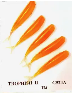 Gambe Perche Trophyfish 2 Eltec Fishing